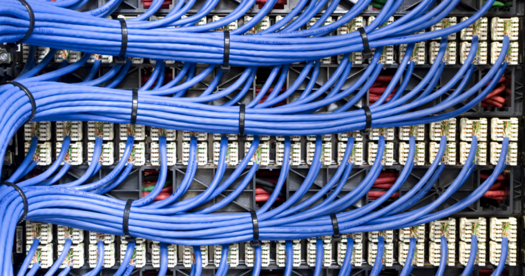 Nahaufnahme von blauen Ethernet-Patchkabeln, die ordentlich gebündelt und an ein Netzwerk-Patchfeld angeschlossen sind